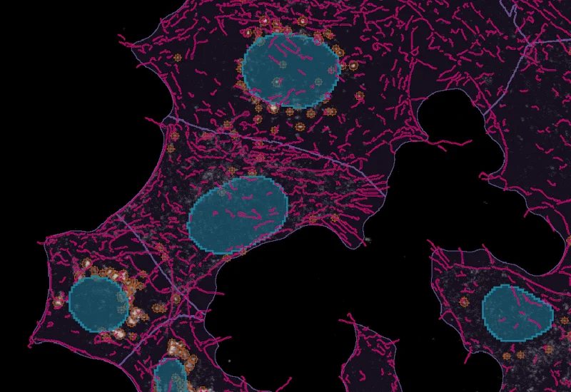 Dynamic Content Image